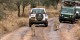 Tanzanie - 2010-09 - 201 - Serengeti - Lionnes